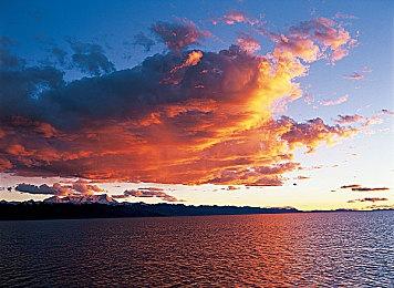 东京电玩展2025开启商务登记 索尼互娱CEO确定参展演讲